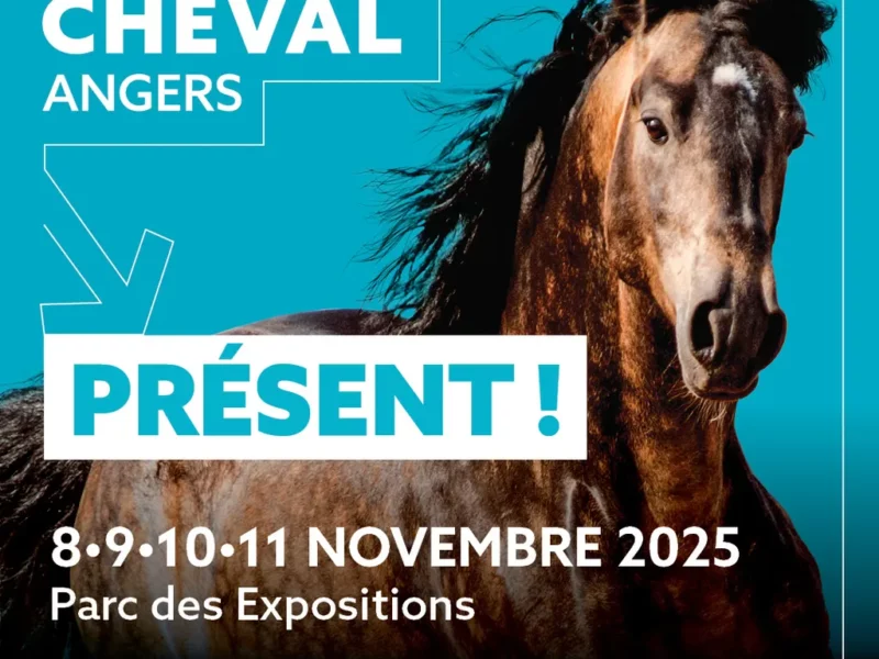 Salon du cheval : ouverture imminente !
