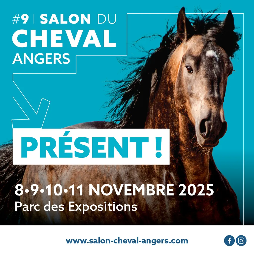 Salon du cheval : ouverture imminente !