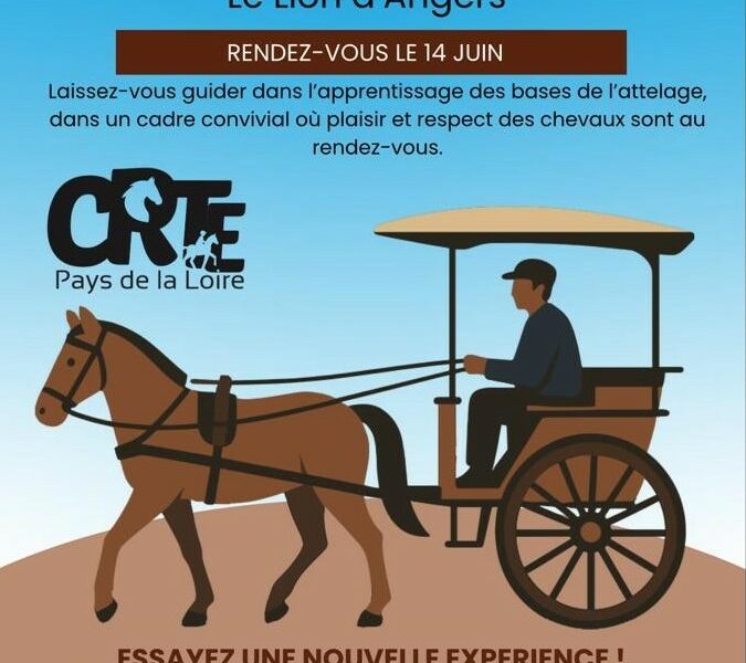 Envie de découvrir l’attelage ?