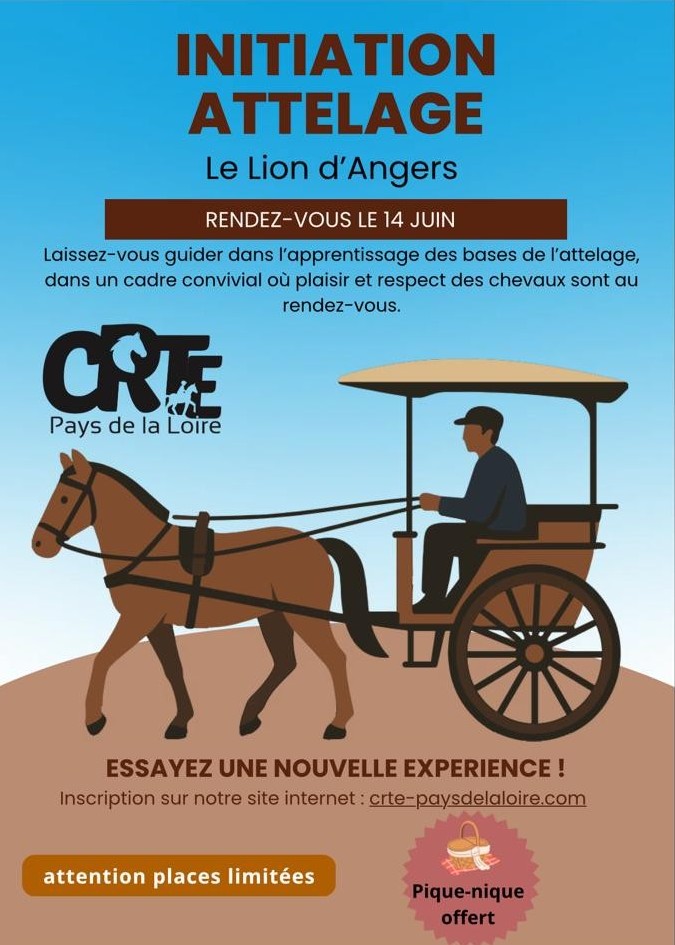 Envie de découvrir l’attelage ?