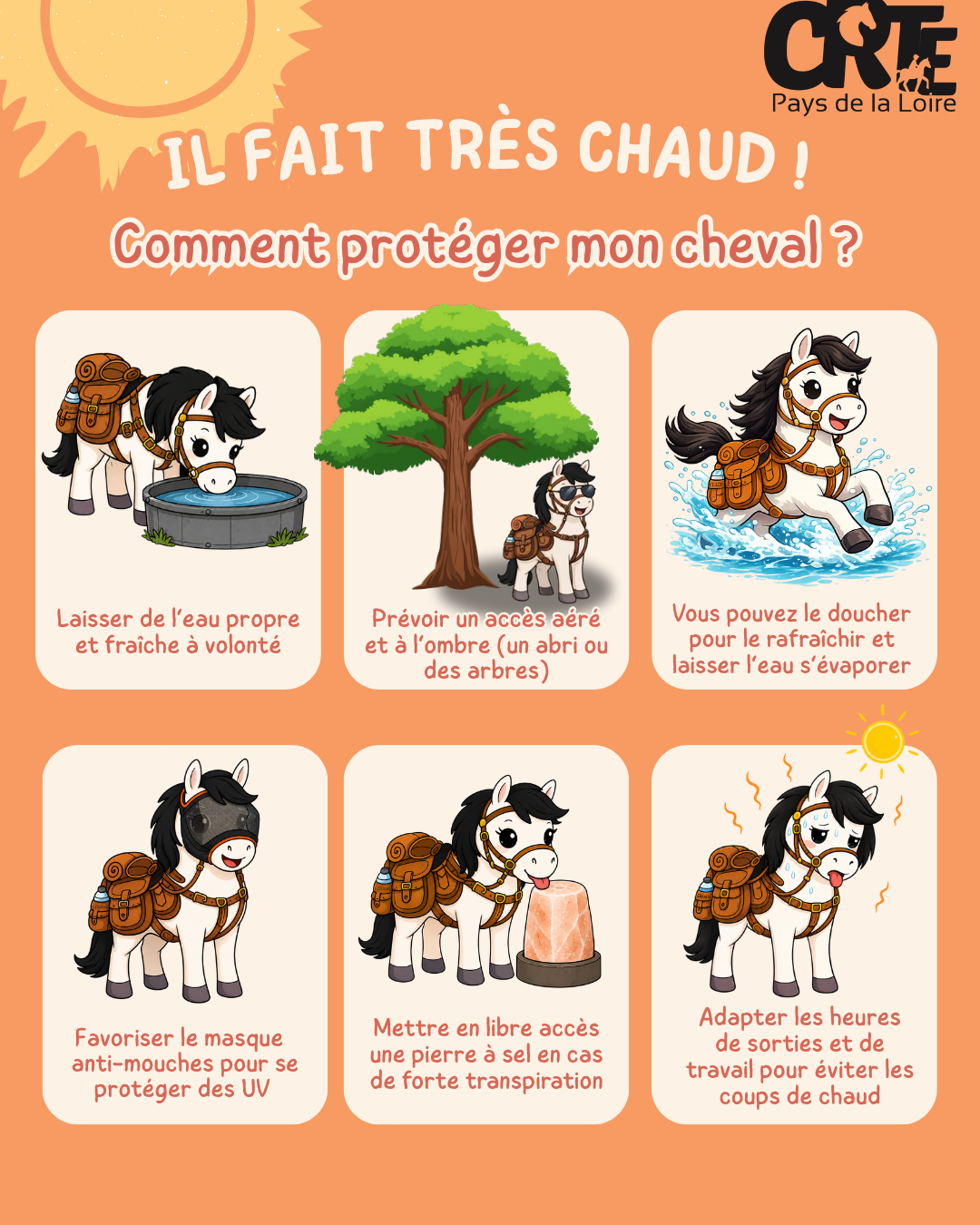 Canicule : protégeons nos chevaux !