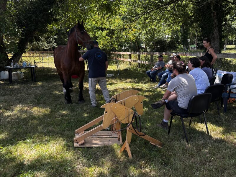 Retour sur la formation « initiation Attelage »