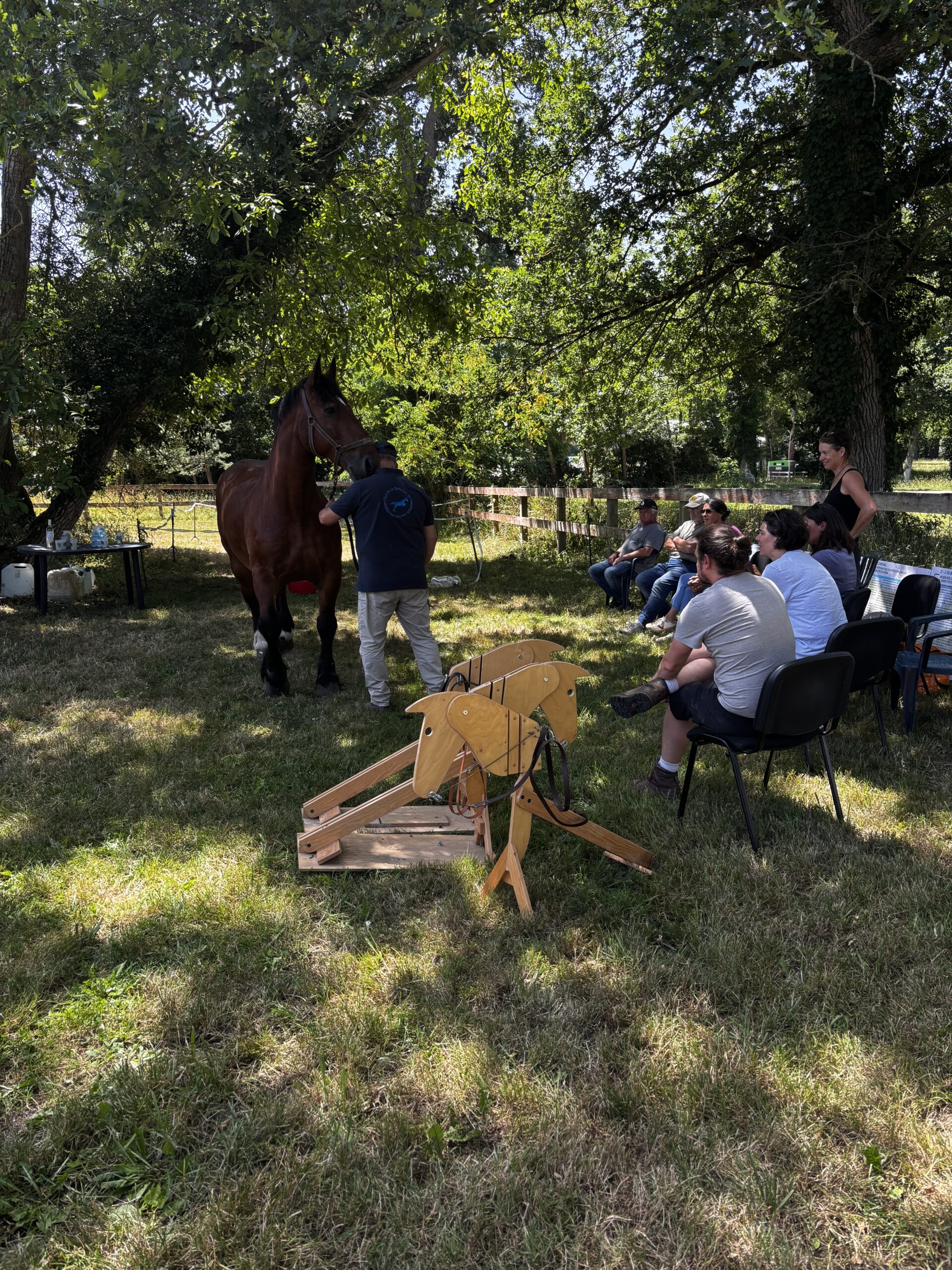 Retour sur la formation « initiation Attelage »