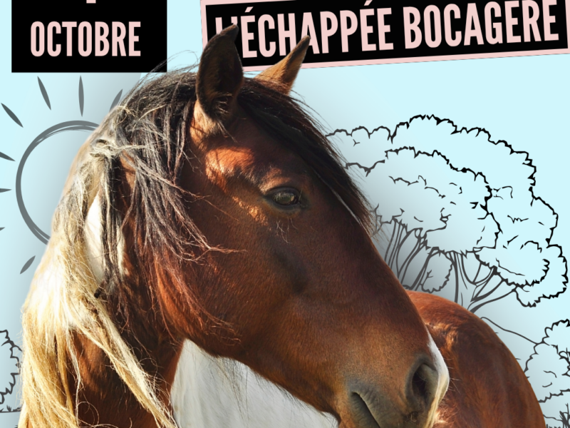 L&rsquo;échappée bocagère, une nouvelle boucle près du Lion d&rsquo;Angers.